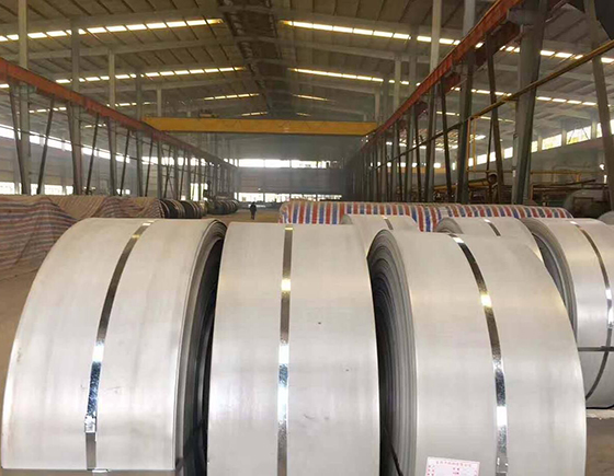 ������п����������п����ɶ���𣿣�����������